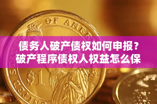 北京债务人破产债权如何申报？破产程序债权人权益怎么保障？