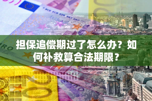 北京担保追偿期过了怎么办？如何补救算合法期限？
