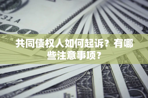 北京共同债权人如何起诉？有哪些注意事项？